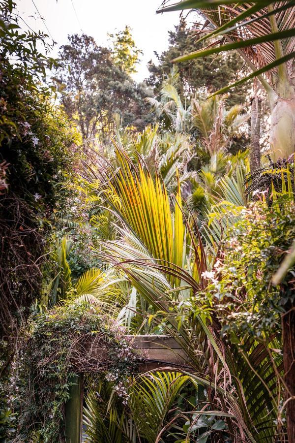 הוילה פאלם ביץ' Boho Hill Waiheke Island מראה חיצוני תמונה