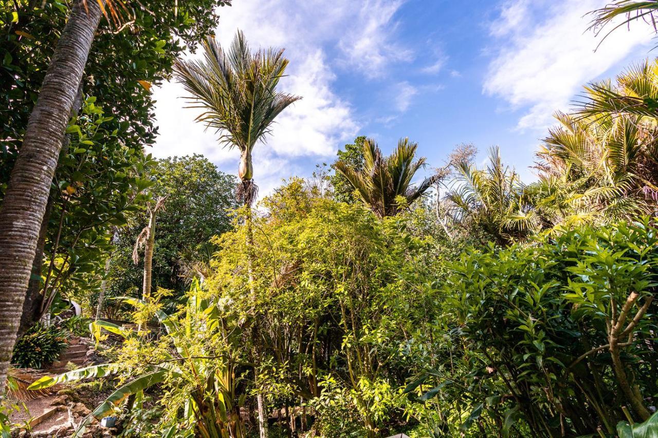 הוילה פאלם ביץ' Boho Hill Waiheke Island מראה חיצוני תמונה